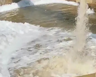 泥沙清洗小黄片下载软件大全