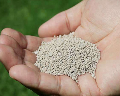 化肥小黄片下载软件大全