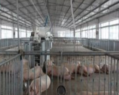 饲养厂污水小黄片下载软件大全