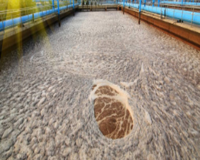 水处理小黄片下载软件大全