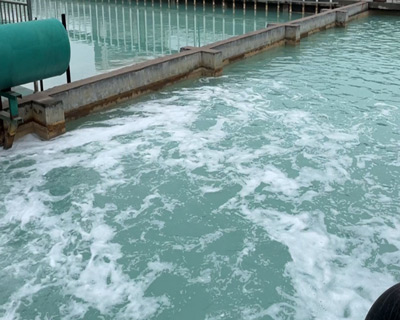 废水小黄片下载软件大全