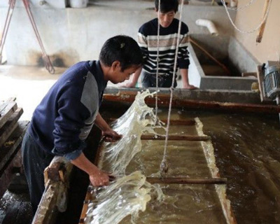 造纸小黄片下载软件大全