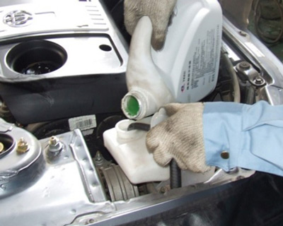 防冻液小黄片下载软件大全