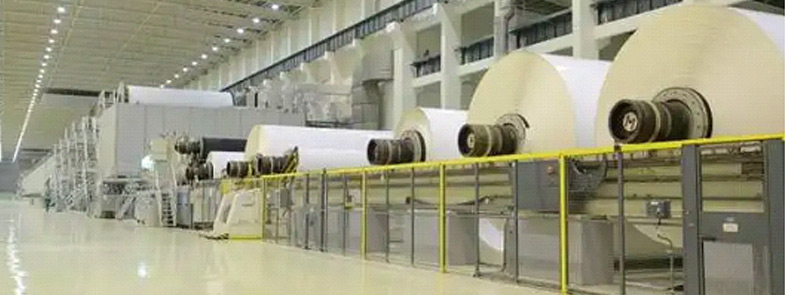 造纸小黄片下载软件大全