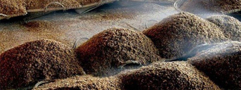 发酵小黄片下载软件大全