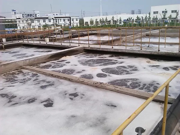 水池小黄片下载软件大全