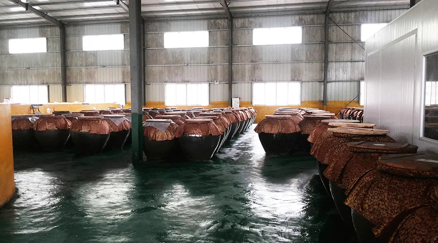 发酵小黄片下载软件大全