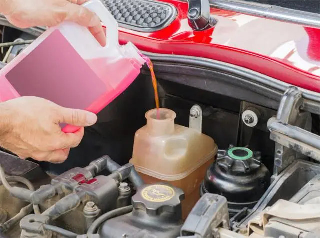 冷却液小黄片下载软件大全