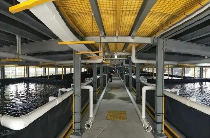 循环水小黄片下载软件大全