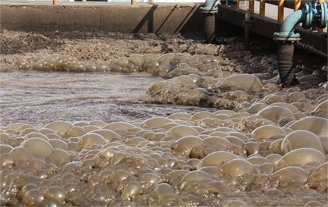 水处理小黄片下载软件大全