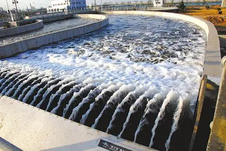 污水小黄片下载软件大全