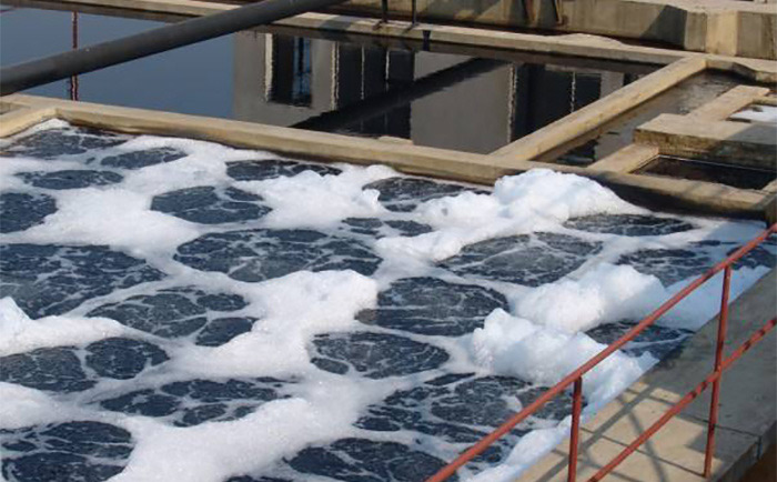 废水小黄片下载软件大全