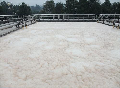 曝气池小黄片下载软件大全