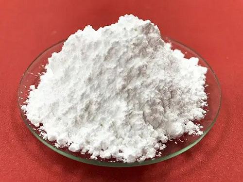 粉末小黄片下载软件大全