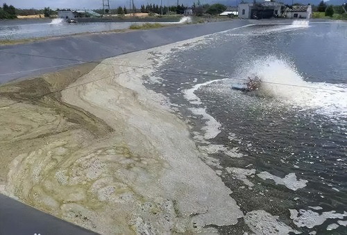 水池小黄片下载软件大全