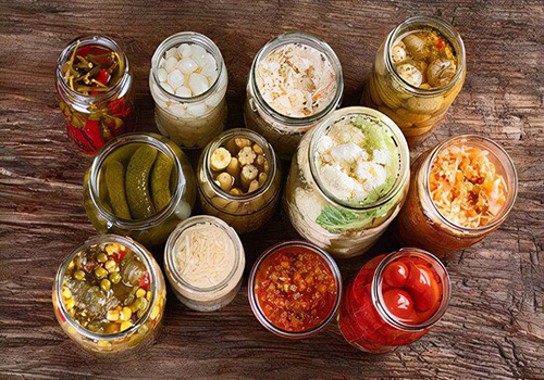 微生物发酵小黄片下载软件大全